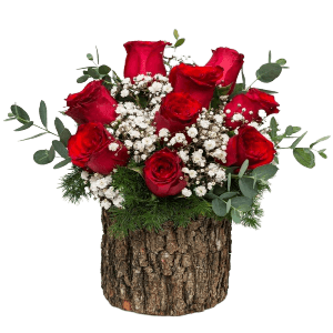 Kütükte 9 Kırmızı Gül Aranjman